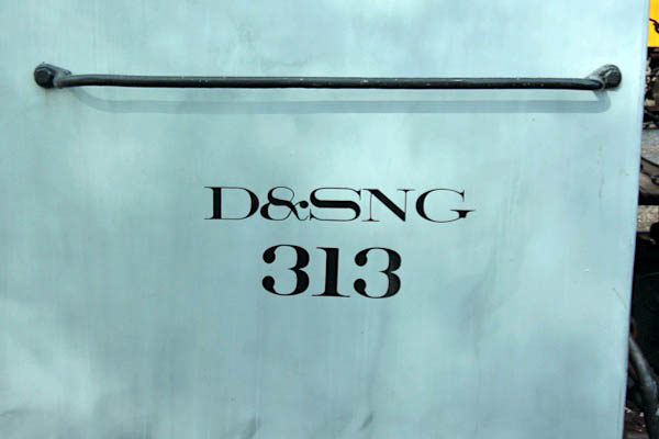 dsng313d