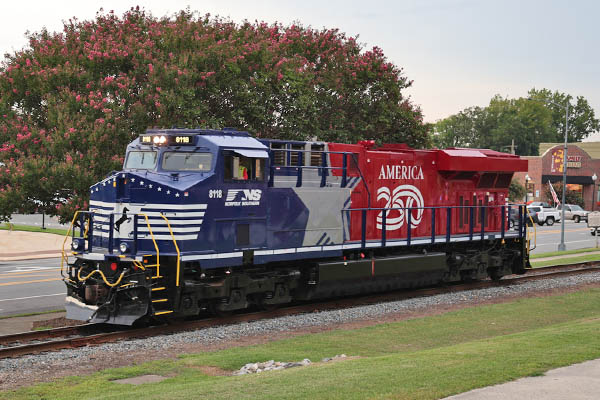 ns8118d1