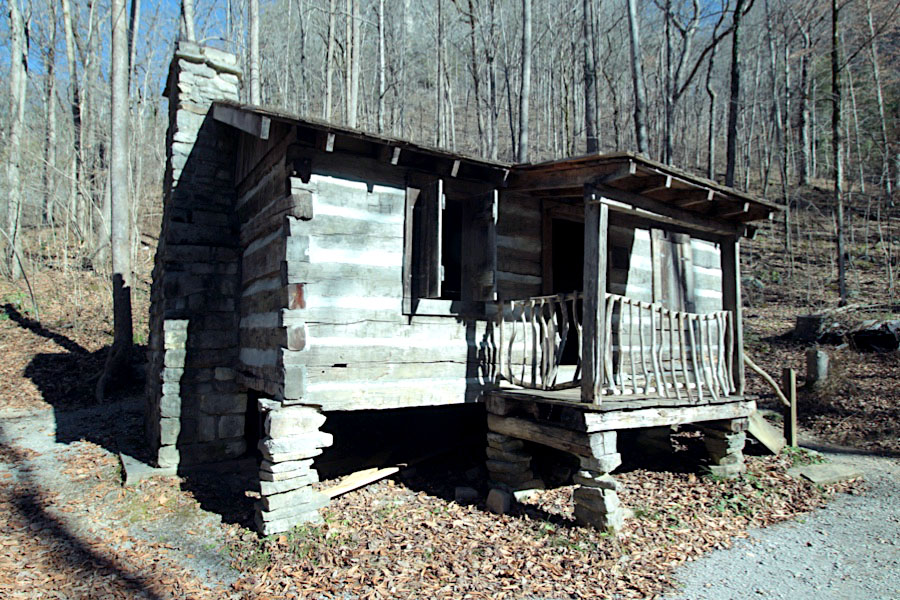 cabin3