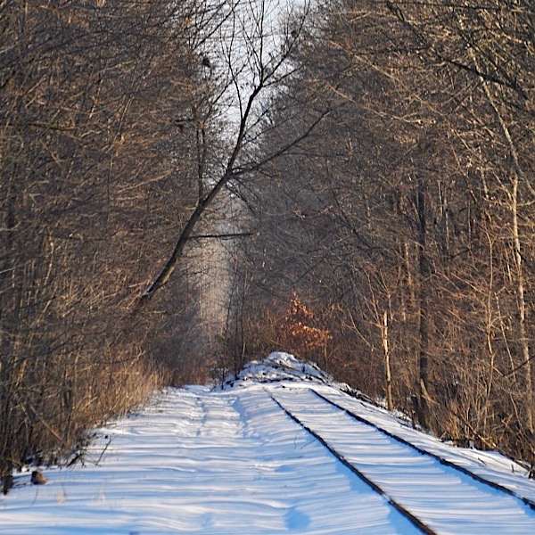 westsalem7