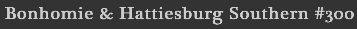 bhs300_banner